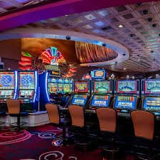 ibet login ibet login